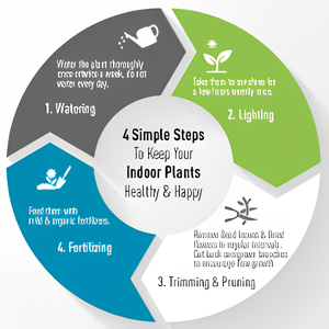 Plant Care