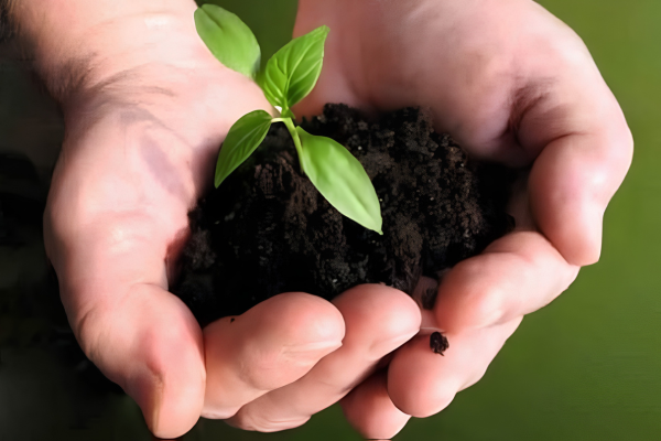 Vermicompost